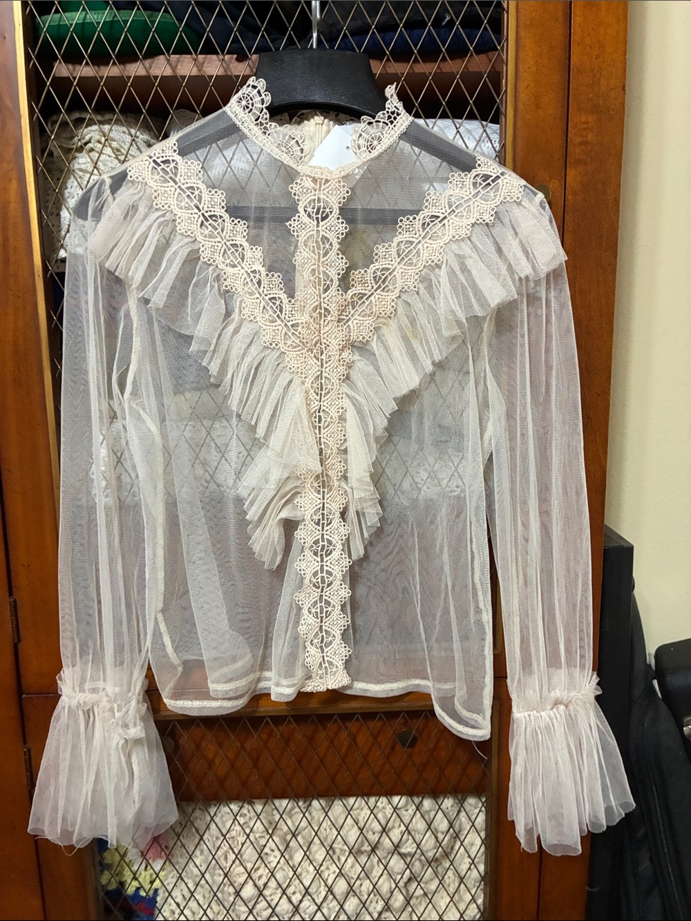 Sheer Ruffled Lace-Trim Blouse - Cream